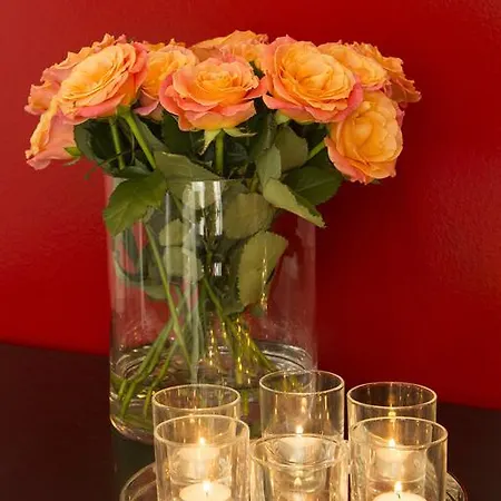 Pavi Apts - Private Rooftop Swimming Pool